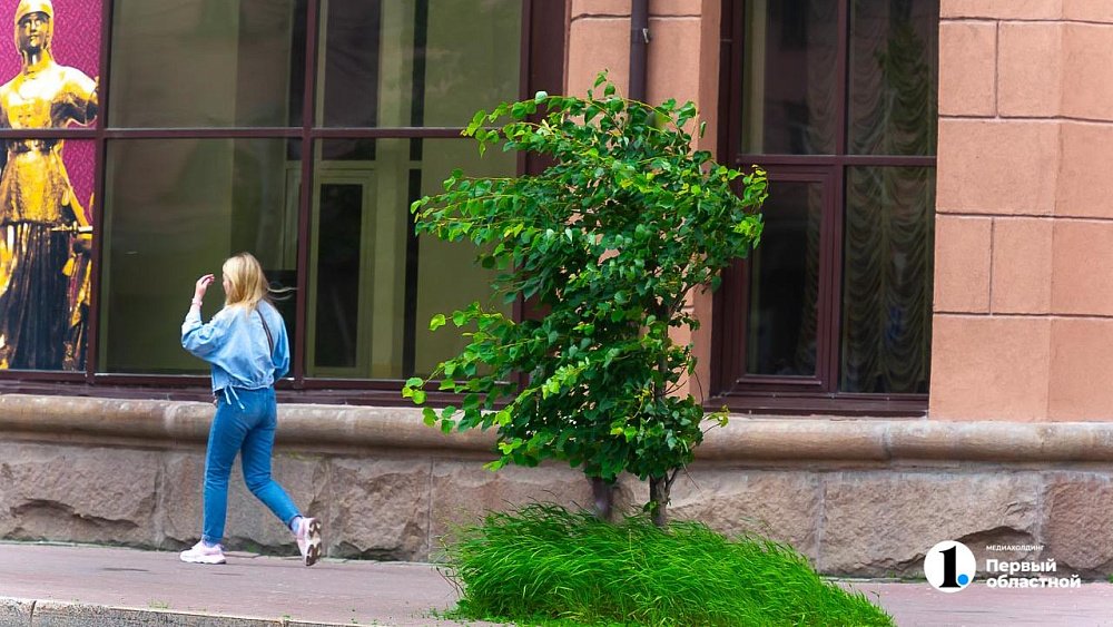 Тепло до +23 градусов и штормовой ветер ожидаются в Челябинской области 17 мая