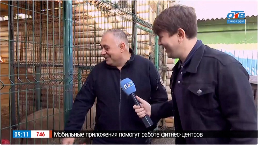 Львенок из центра зоозащиты в Прямом включении