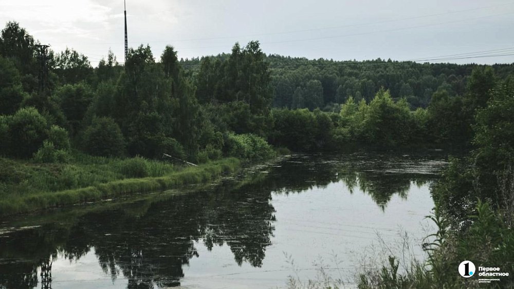 В водоемы Челябинской области выпустят 150 миллионов мальков рыбы