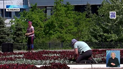 Возле публичной библиотеки высадили цветы