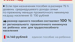 Жители Челябинской области получили детские пособия на 4,5 млрд рублей