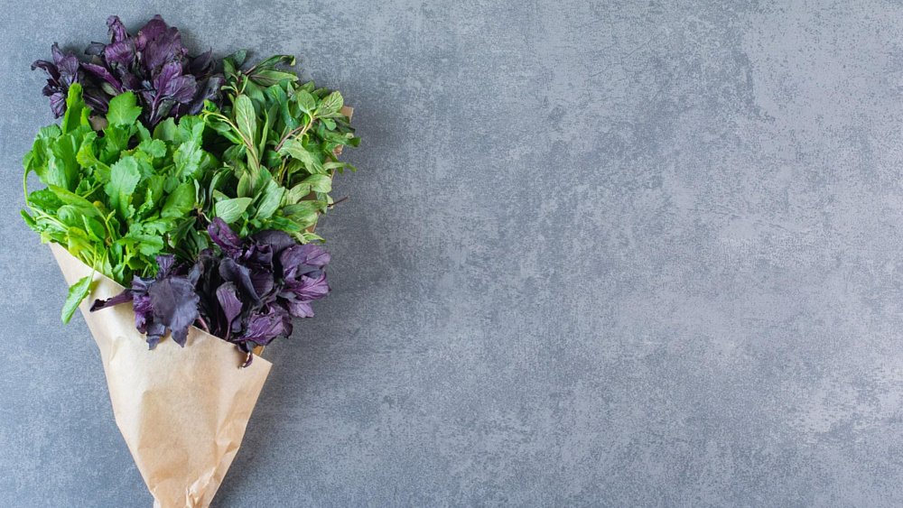 Укрепить нервную систему можно базиликом