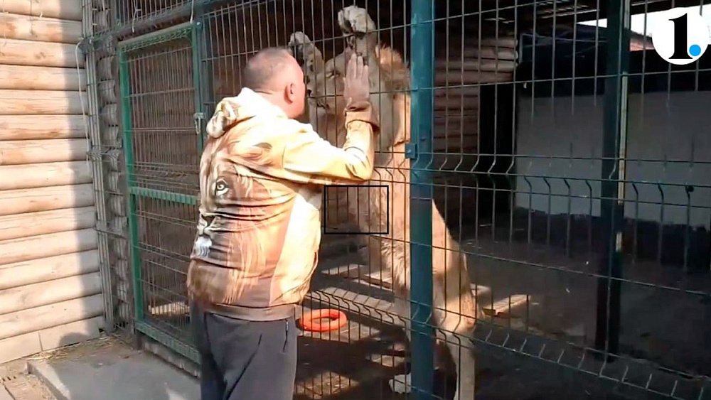 Миллионер Владимир Маринович высказался в поддержку приюта «Спаси меня»