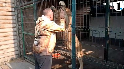 Миллионер Владимир Маринович высказался в поддержку приюта «Спаси меня»