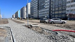 В челябинском микрорайоне Чурилово к концу лета высадят 270 деревьев и 4 тысячи кустарников