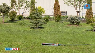 Новые технологии для дачников в сюжете «Капельная система полива»