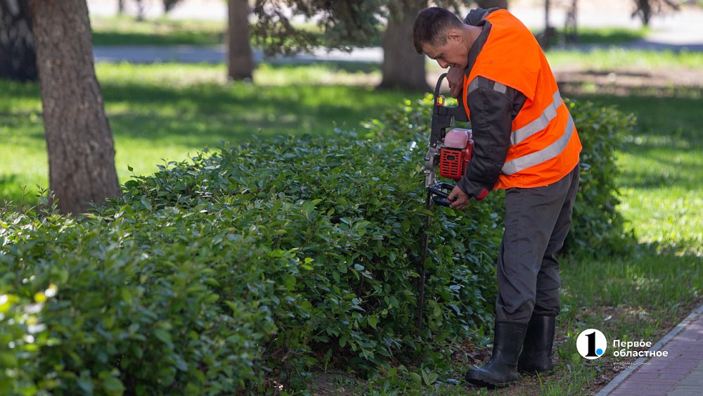 В челябинском Саду камней высадят ивы, дубы, яблони и рябину