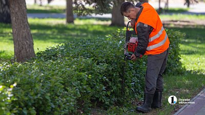 В челябинском Саду камней высадят ивы, дубы, яблони и рябину