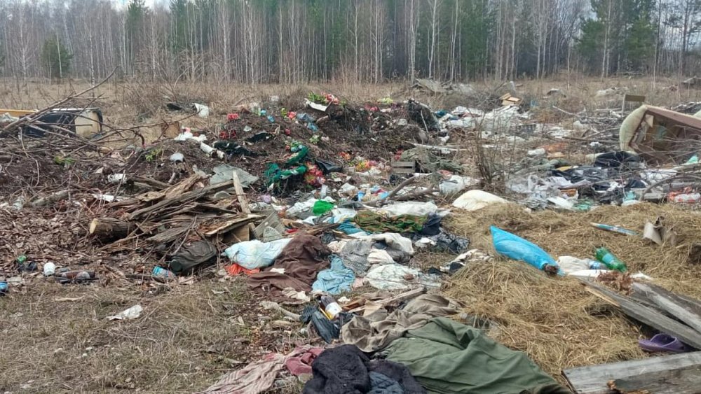 В Челябинской области нашли нелегальную свалку площадью более 3 гектаров