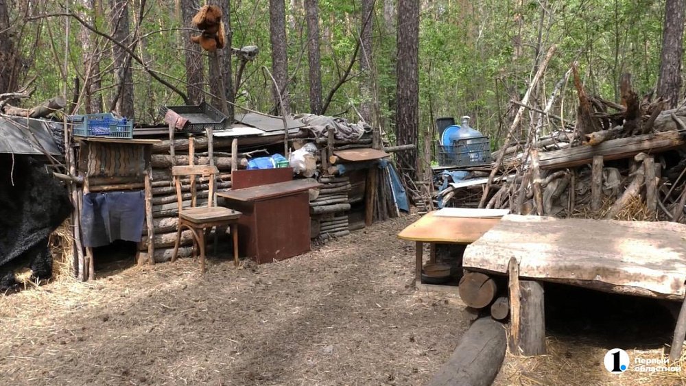 В Челябинском бору жители построили незаконную «деревню» для бродячих собак