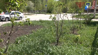 Миасские школьники озеленяют город