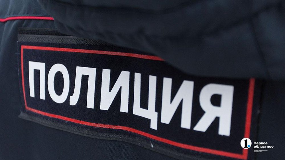 В Челябинской области грабитель напал на женщину, кормившую кота