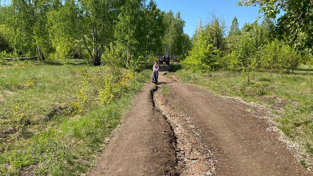 На Северо-Западе Челябинска к осени появится 3‑километровая экотропа