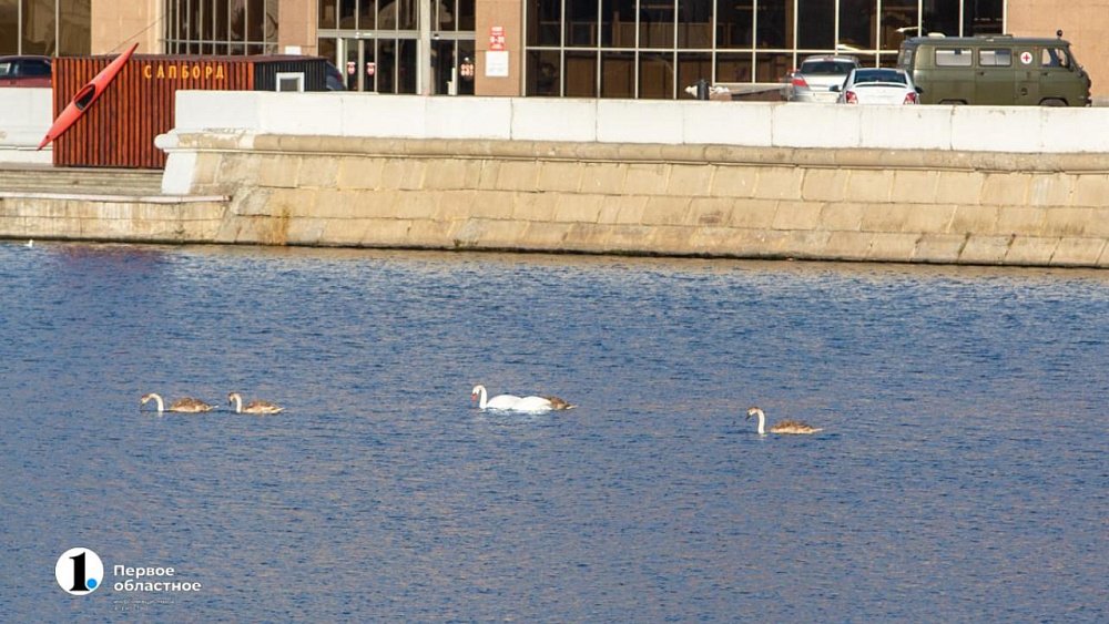 Механическая очистка реки Миасс в Челябинске начнется после 15 июня