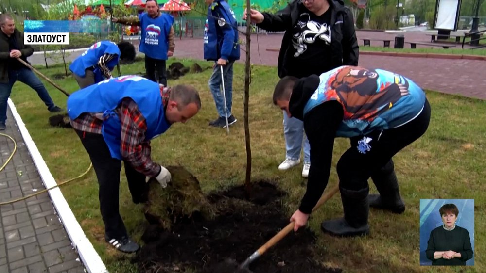 Депутаты в Златоусте высадили аллею в память о бойцах СВО