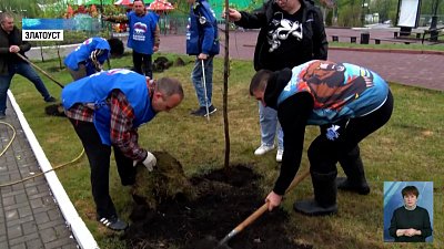 Депутаты в Златоусте высадили аллею в память о бойцах СВО