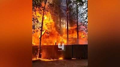 В Челябинске пожар в СНТ «Мичуринец» попал на видео