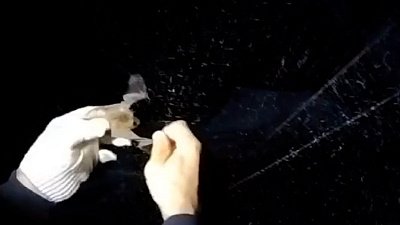 В Ильменском заповеднике изучают летучих мышей