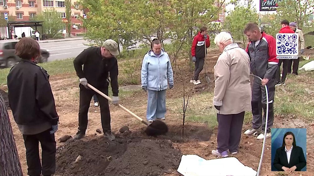 В Миассе украли липы