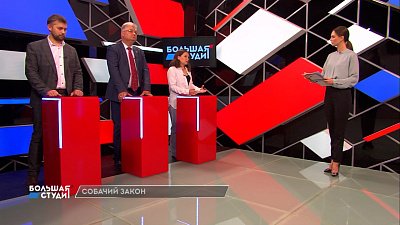 Поправки в «Собачий закон» — тема Большой студии