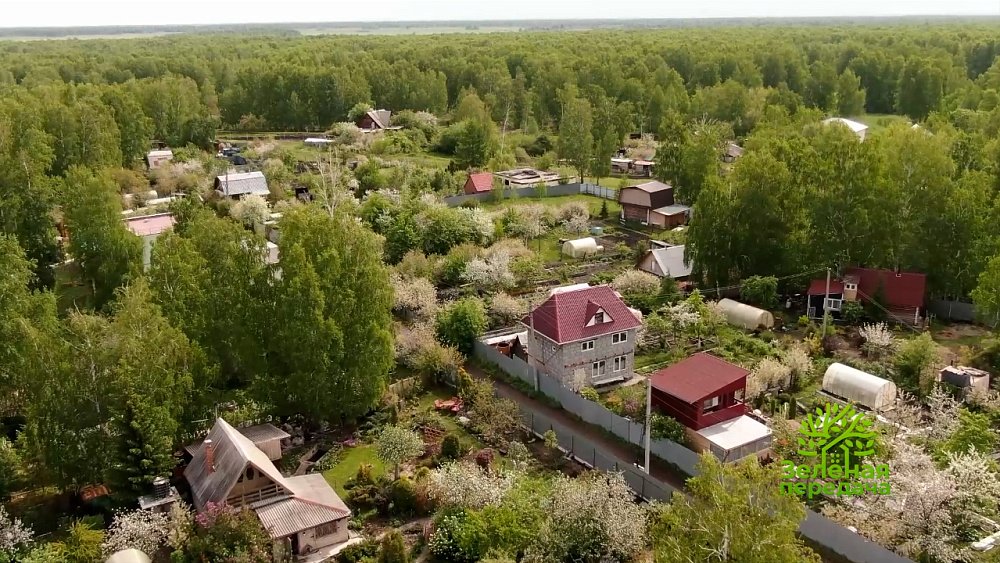 Почему абрикосы не цветут, не плодоносят и даже погибают — в «Зеленой передаче»
