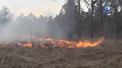 В  Челябинской области продолжает действовать особый противопожарный режим