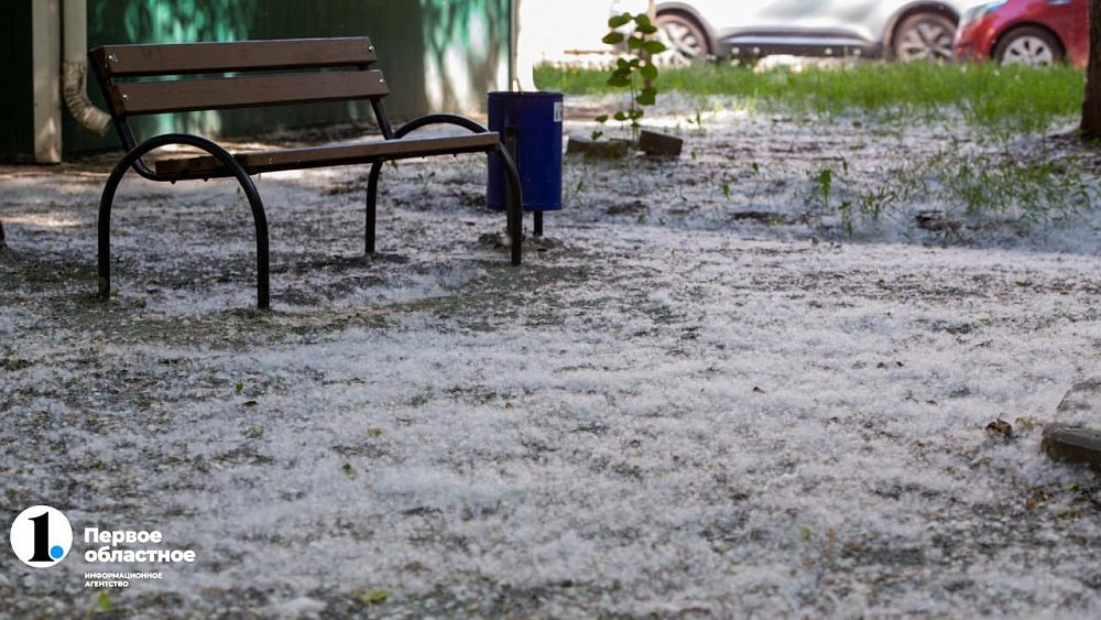 В Челябинске дорожники зальют водой тополиный пух