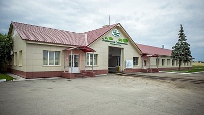 В Челябинской области сорвалась продажа свинокомплекса «Здоровой фермы» за 1,2 млрд рублей