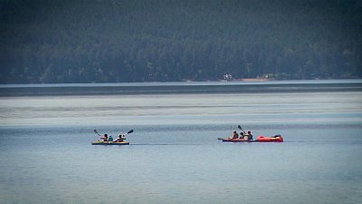 Почему вода сейчас стоит дороже, чем бензин