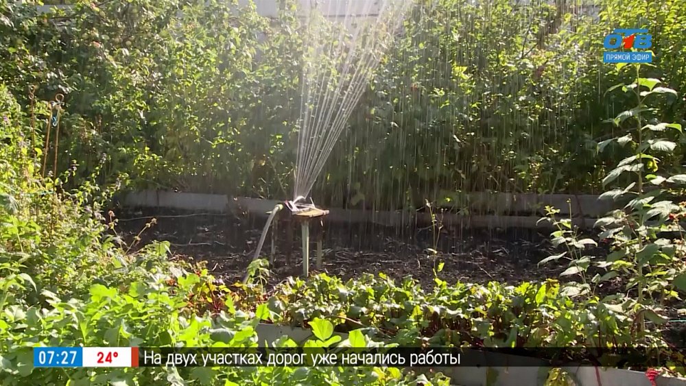 Модный ландшафтный дизайн в рубрике «Руки садовода»