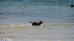 Челябинцам грозит штраф за купание в запрещенном месте