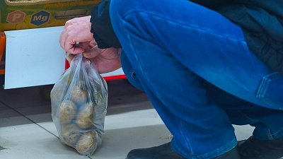 В Челябинской области упали цены на картофель и свинину