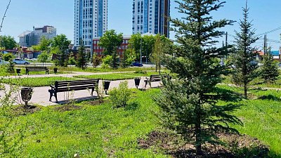 В Челябинске заменят неприжившиеся кусты и деревья 