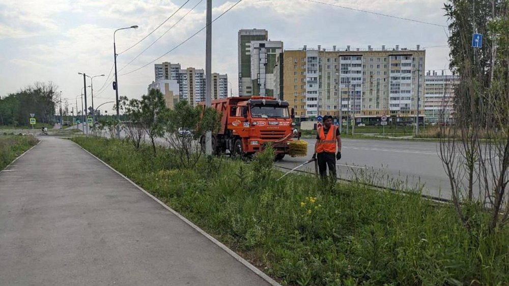 В Челябинске из‑за жары в семь раз усилили полив деревьев и газонов