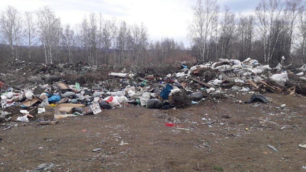 В Челябинской области убрали около 30 незаконных свалок с начала 2023 года
