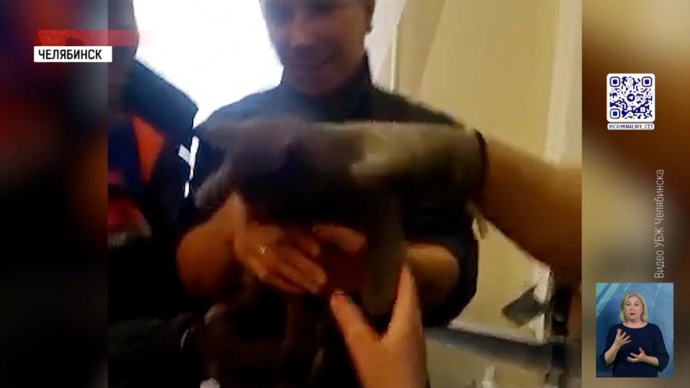 В Челябинске спасли застрявшего в камине котенка
