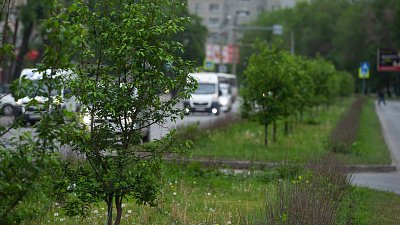 В Челябинске запретят установку киосков на газонах