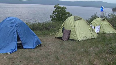 Оперативные службы защищают леса Миасса  от «дикарей»