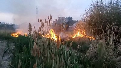 В Чурилово загорелся камыш возле частного сектора