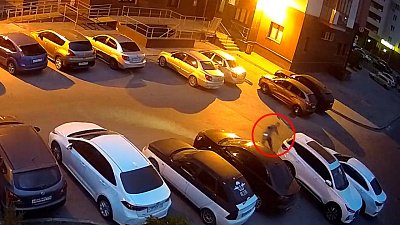 В Челябинске самокатчик врезался в машину и скрылся с места ДТП