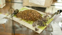 Ирина Гехт пригласила южноуральцев на экскурсию в старейшую аптеку региона