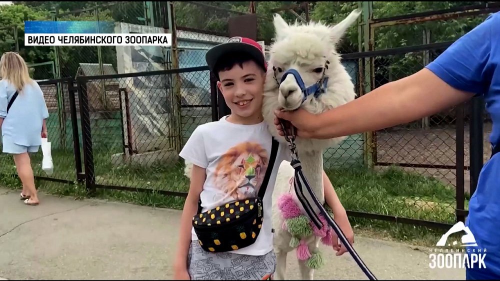 Как отметили 1 июня в челябинском зоопарке?