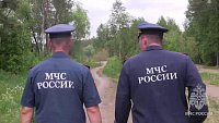 Жители Челябинска устроили пожар в бору из-за разведенного костра и скрылись