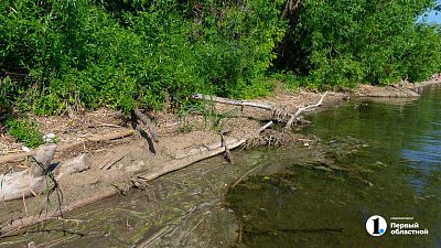 Мужчина утонул во время купания в карьере в Челябинской области