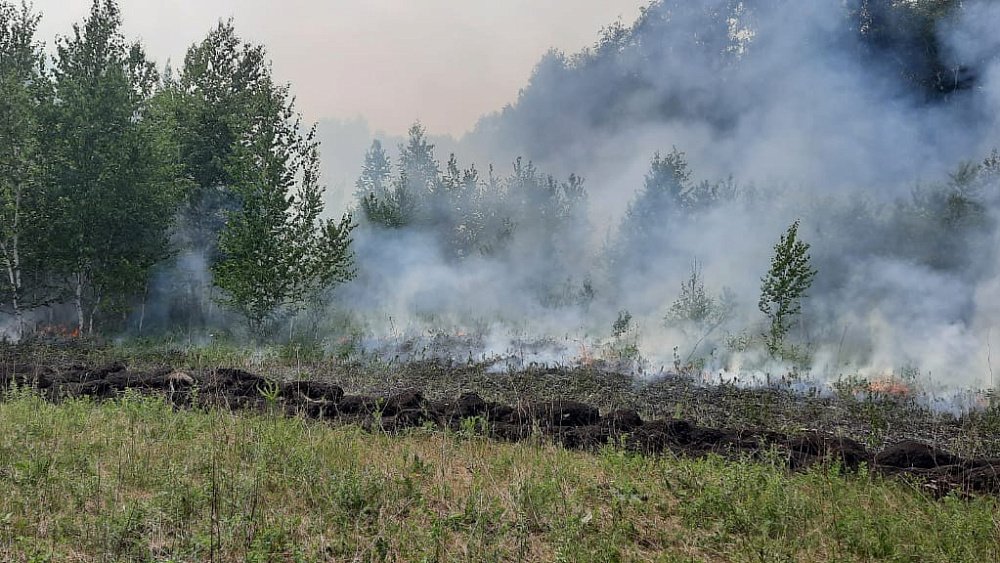 В Аргаяшском районе шестой день тушат крупный торфяной пожар