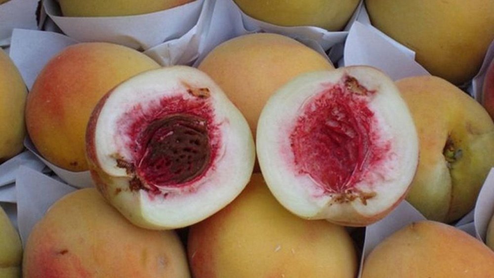 В Челябинской области задержали почти 19 тонн опасных таджикских абрикосов
