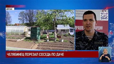 Челябинец порезал соседа по даче