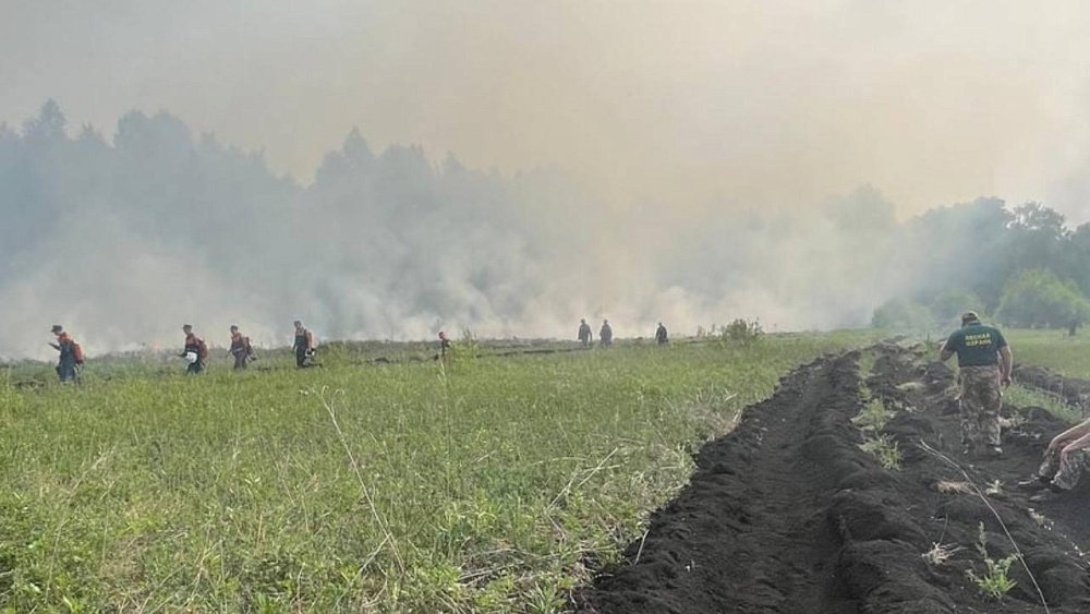 В Аргаяшском районе потушили крупный торфяной пожар