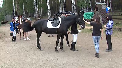 Соревнования по адаптивному конному спорту прошли в Миассе