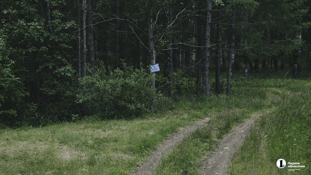 Жителям Варненского района рекомендуют на время отказаться от сбора грибов, ягод и трав